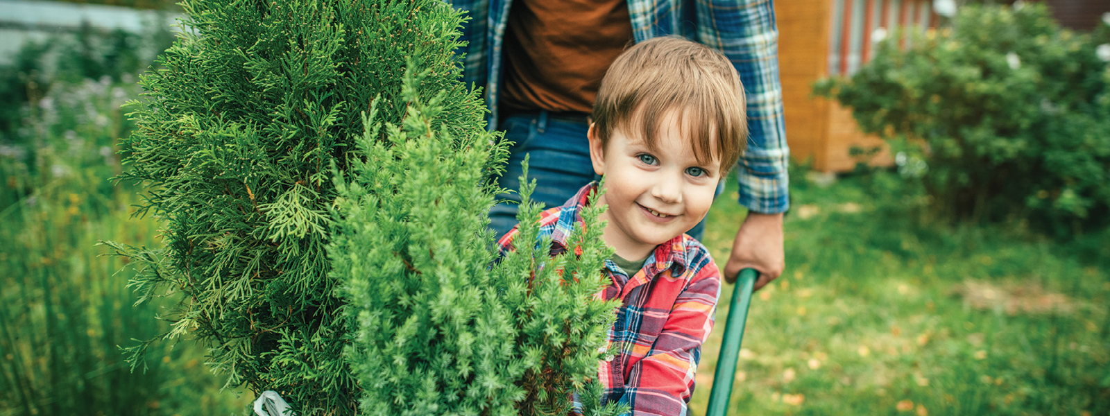 Put Down Roots. Dig Up Savings.