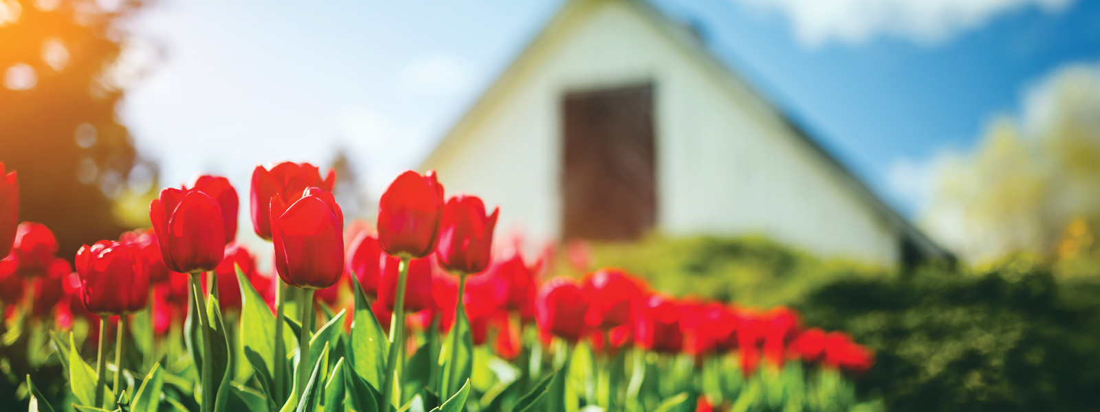 Mortgage Savings are in Bloom!