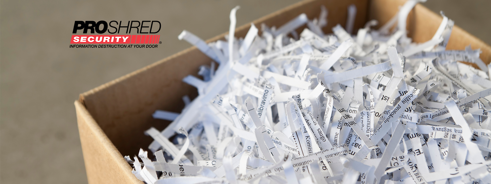 Holyoke Shred Event