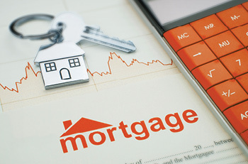 Loan Calculators